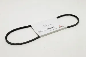 V Belt