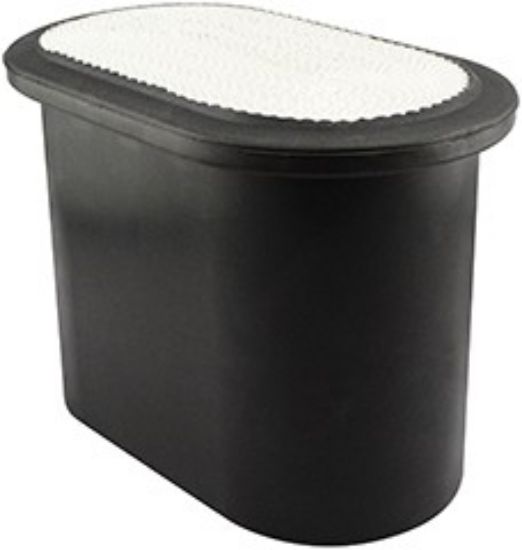 Picture of Air Filter