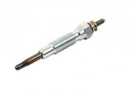 Picture of Plug-Glow