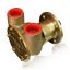 Picture of Raw Water Pump
