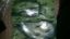 Picture of Sensor Tacho