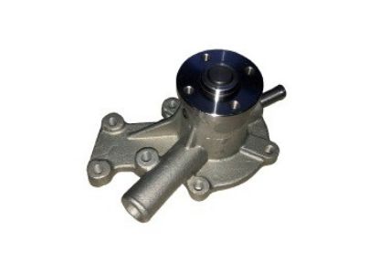 Picture of Water Pump