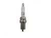 Picture of Spark Plug