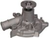 Picture of Water Pump