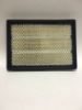 Picture of Air Filter