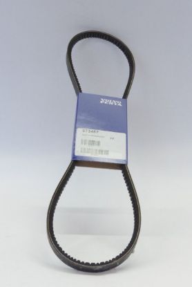 Picture of Belt