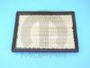 Picture of Air Filter