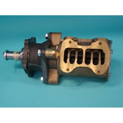 Picture of Raw Water Pump