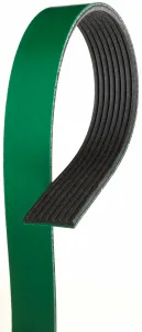 BELT (8PK)
