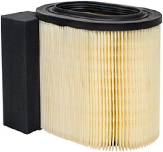Picture of Air Filter
