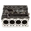 Picture of Cylinder Block Assembly