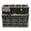 Picture of Cylinder Block Assembly