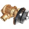 Picture of Raw Water Pump