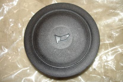 Picture of HORN BUTTON