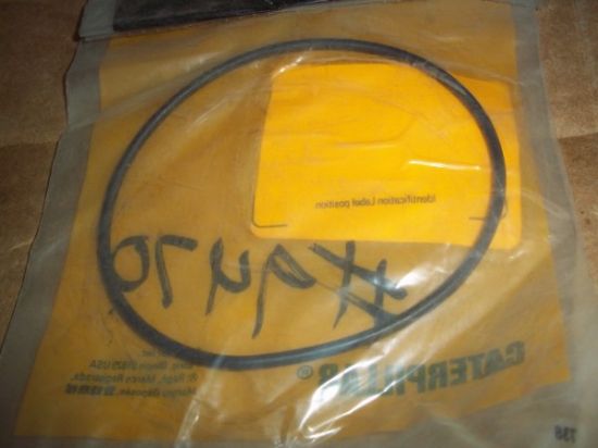 Picture of O-Ring