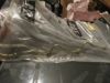 Picture of Line - Leak Of