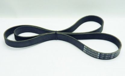 Picture of Serpentine Poly Rib Belt