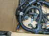 Picture of HARNESS