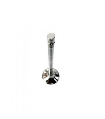 Picture of Exhaust Valve