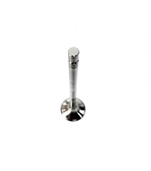 Picture of Exhaust Valve