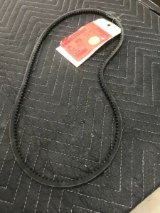Belt