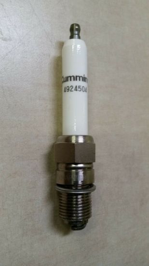 Picture of Spark Plug