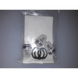 Pump Kit Valve
