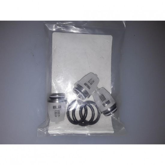 Picture of Pump Kit Valve