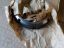 Picture of NUT-BEARING LOCK