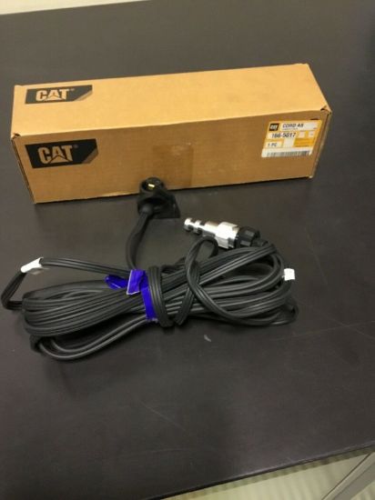 Picture of CORD AS