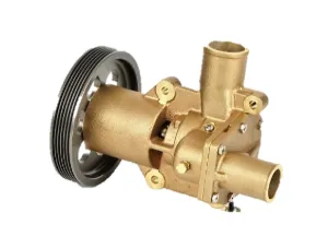 SEA WATER PUMP