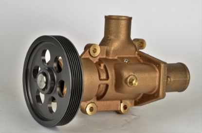 Picture of Raw Water Pump