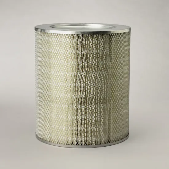 Picture of Primary Air Filter