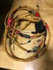 Picture of HARNESS AS