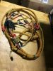 Picture of HARNESS AS