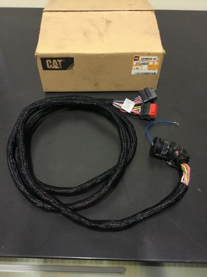 Picture of HARNESS