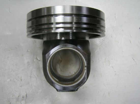 Picture of CROWN AS-PIS