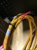 Picture of Harness A