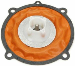 DIAPHRAGM