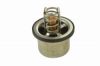 Picture of THERMOSTAT