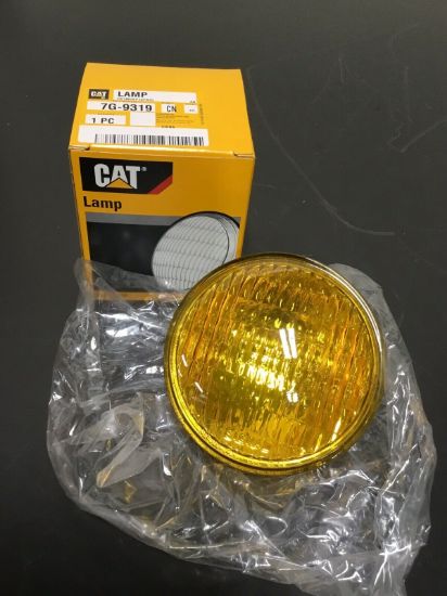 Picture of LAMP