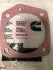 Picture of Water Pump Gasket