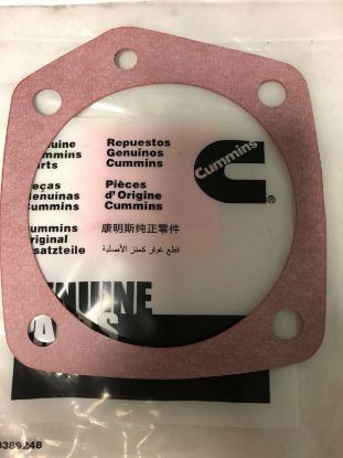 Picture of Water Pump Gasket