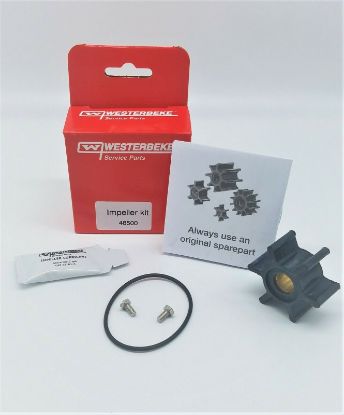 Picture of IMPELLER KIT 48080 PUMP