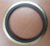 Picture of SEAL-LIP TYPE (WATER TEMP REGULATOR)