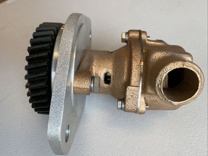 Picture of Sea Water Pump, Raw