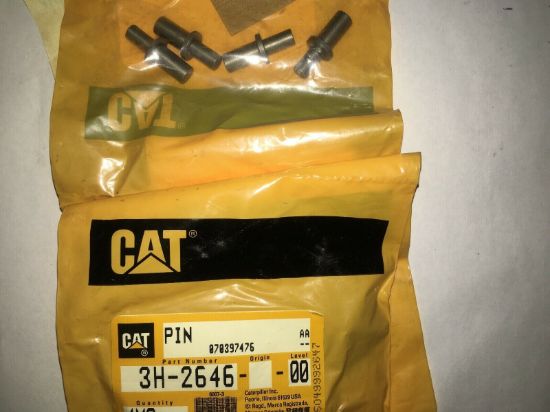 Picture of PIN