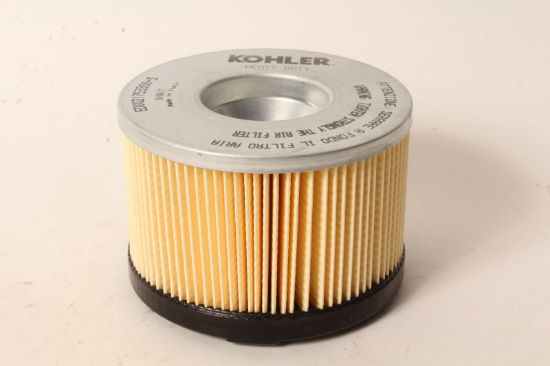 Picture of Air Filter