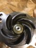 Picture of PUMP-WTR-CLA