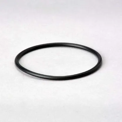 Picture of O-Ring